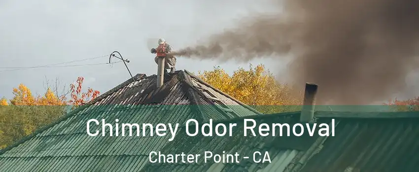 Chimney Odor Removal Charter Point - CA