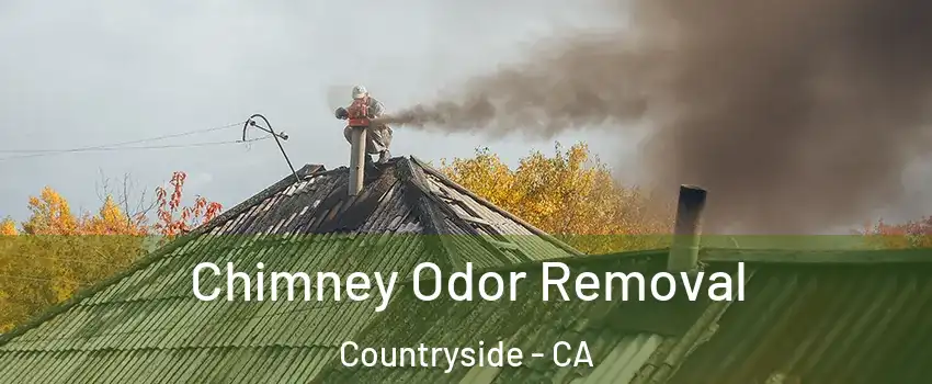 Chimney Odor Removal Countryside - CA
