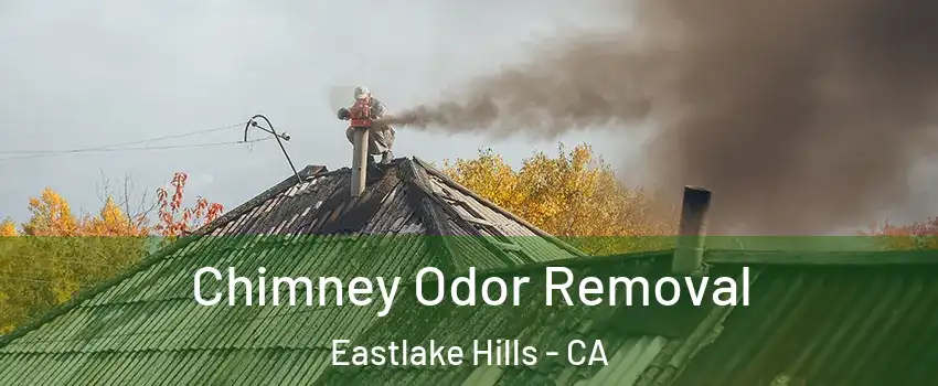 Chimney Odor Removal Eastlake Hills - CA