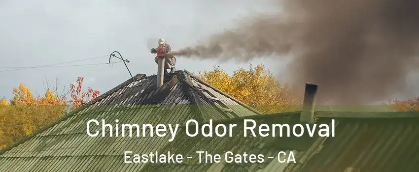 Chimney Odor Removal Eastlake - The Gates - CA