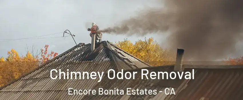 Chimney Odor Removal Encore Bonita Estates - CA