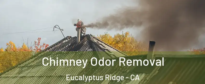 Chimney Odor Removal Eucalyptus Ridge - CA