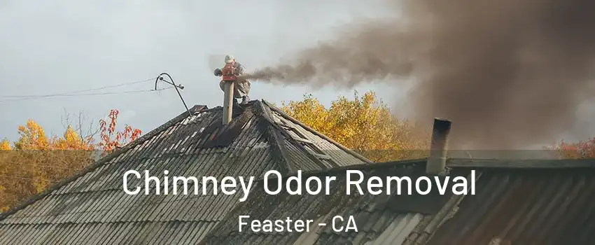 Chimney Odor Removal Feaster - CA