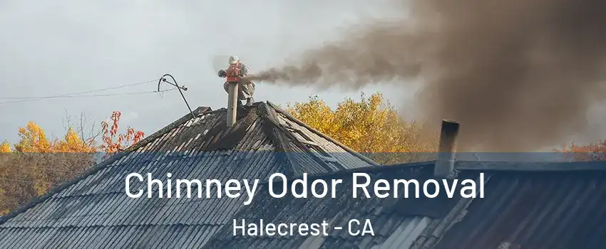 Chimney Odor Removal Halecrest - CA