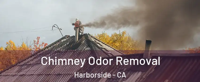 Chimney Odor Removal Harborside - CA