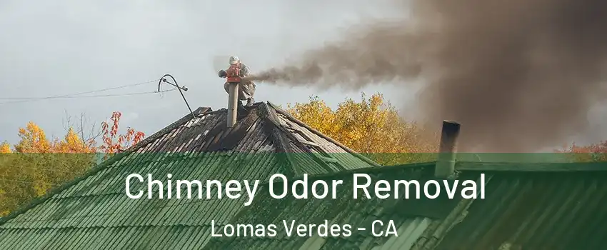 Chimney Odor Removal Lomas Verdes - CA