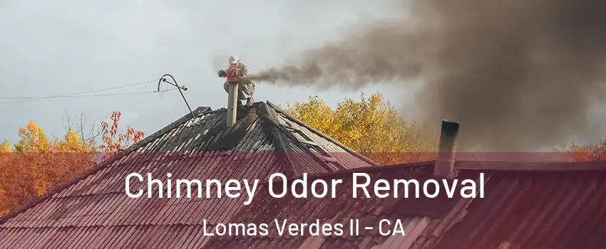 Chimney Odor Removal Lomas Verdes II - CA