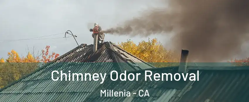 Chimney Odor Removal Millenia - CA