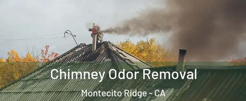 Chimney Odor Removal Montecito Ridge - CA