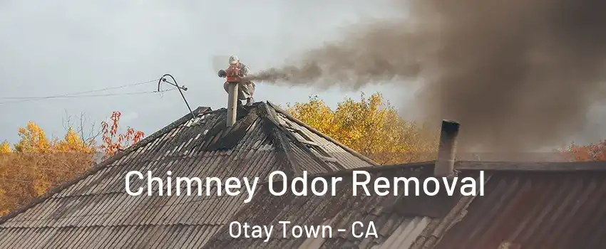 Chimney Odor Removal Otay Town - CA