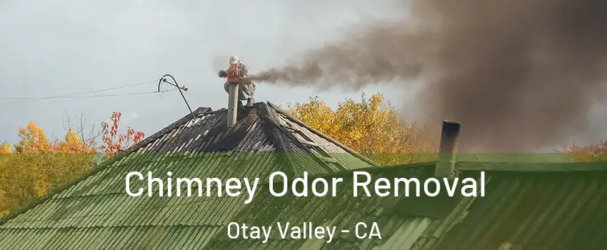 Chimney Odor Removal Otay Valley - CA