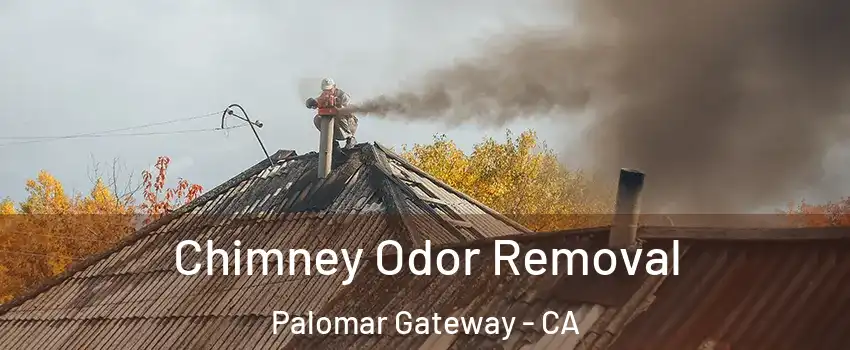 Chimney Odor Removal Palomar Gateway - CA