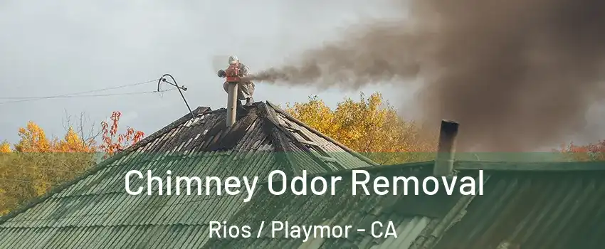 Chimney Odor Removal Rios / Playmor - CA