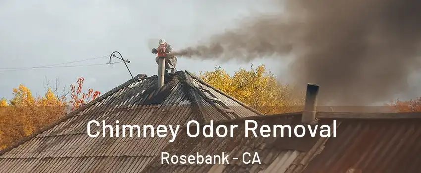 Chimney Odor Removal Rosebank - CA