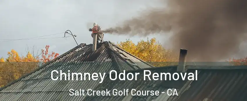 Chimney Odor Removal Salt Creek Golf Course - CA