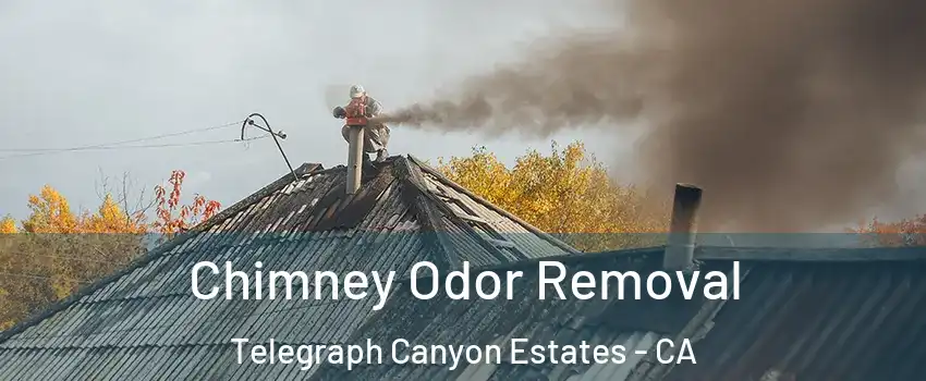 Chimney Odor Removal Telegraph Canyon Estates - CA