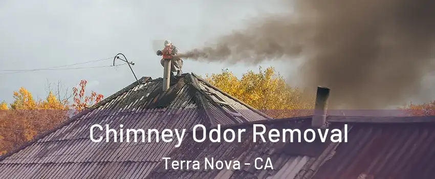 Chimney Odor Removal Terra Nova - CA