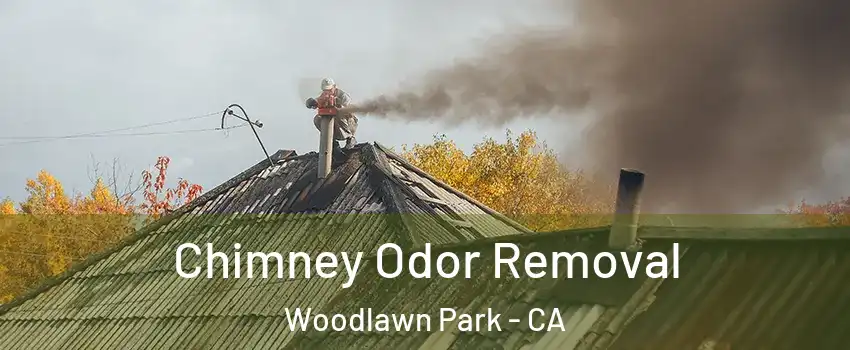 Chimney Odor Removal Woodlawn Park - CA