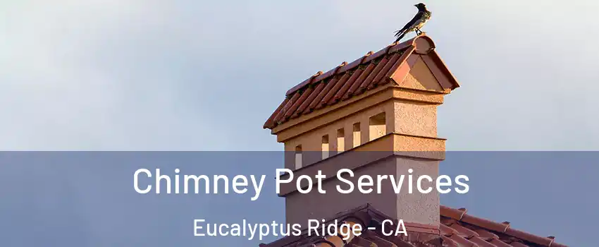 Chimney Pot Services Eucalyptus Ridge - CA