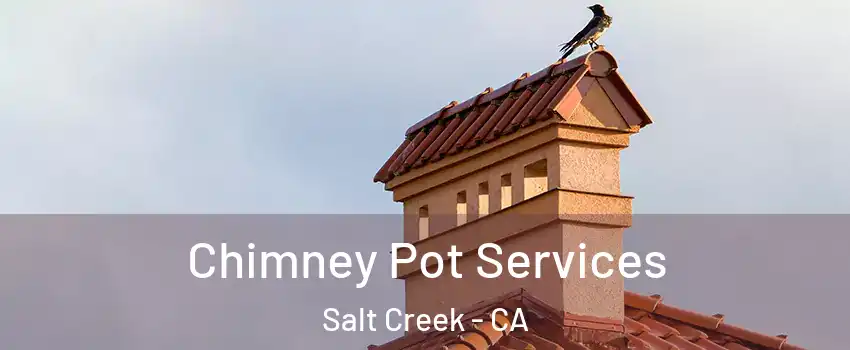 Chimney Pot Services Salt Creek - CA