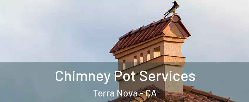Chimney Pot Services Terra Nova - CA