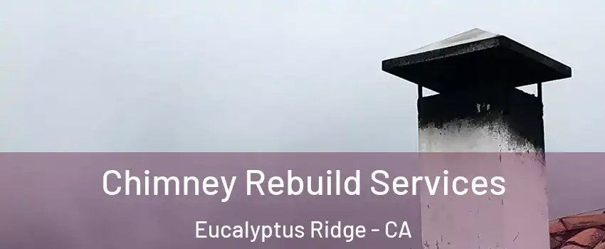 Chimney Rebuild Services Eucalyptus Ridge - CA