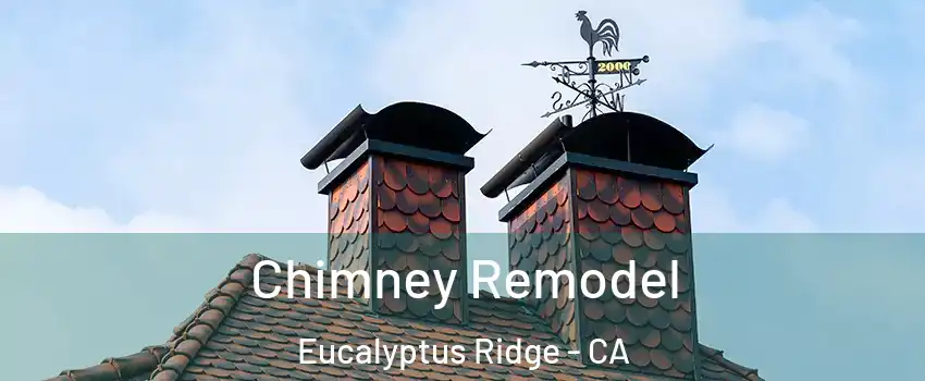 Chimney Remodel Eucalyptus Ridge - CA
