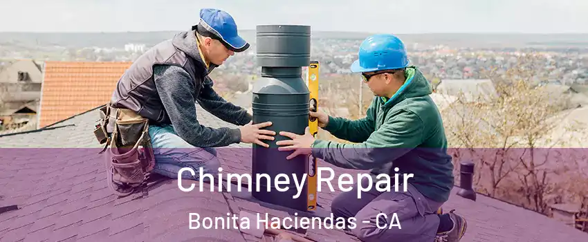 Chimney Repair Bonita Haciendas - CA