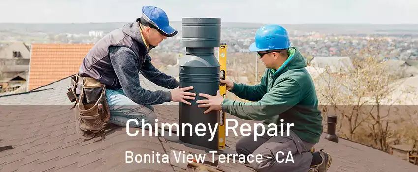 Chimney Repair Bonita View Terrace - CA
