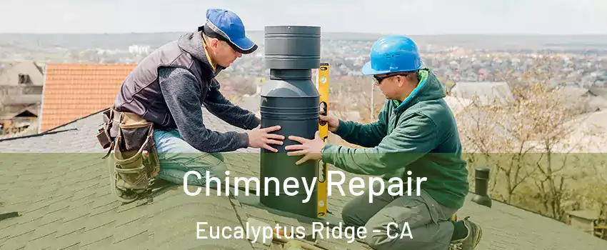 Chimney Repair Eucalyptus Ridge - CA