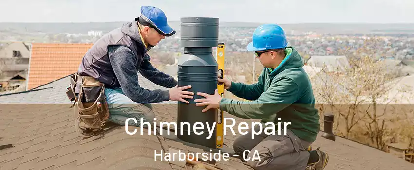 Chimney Repair Harborside - CA