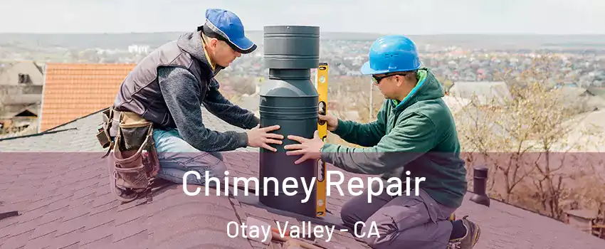 Chimney Repair Otay Valley - CA