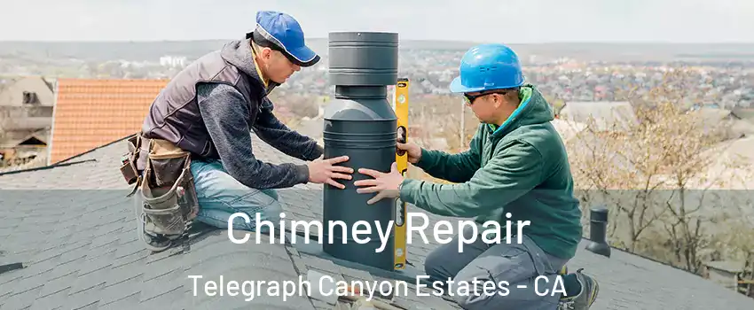 Chimney Repair Telegraph Canyon Estates - CA