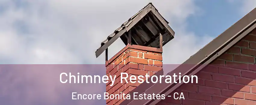 Chimney Restoration Encore Bonita Estates - CA