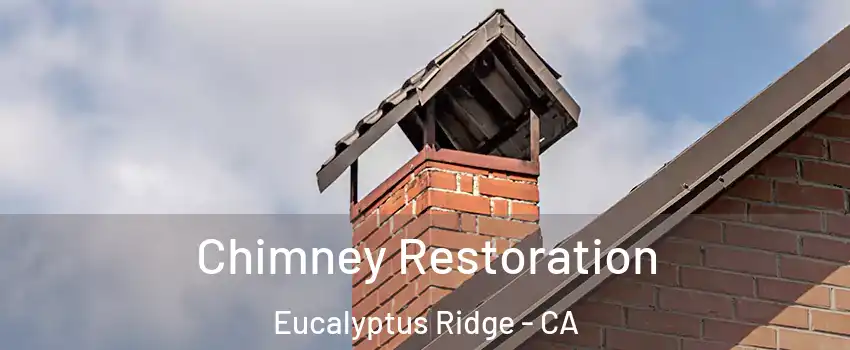 Chimney Restoration Eucalyptus Ridge - CA