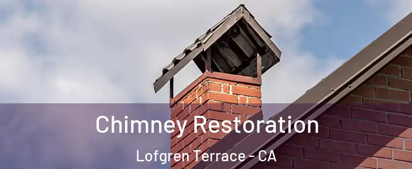 Chimney Restoration Lofgren Terrace - CA