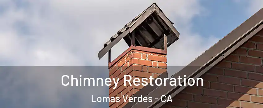 Chimney Restoration Lomas Verdes - CA