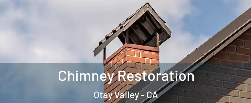 Chimney Restoration Otay Valley - CA
