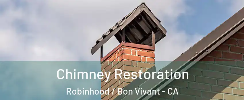 Chimney Restoration Robinhood / Bon Vivant - CA
