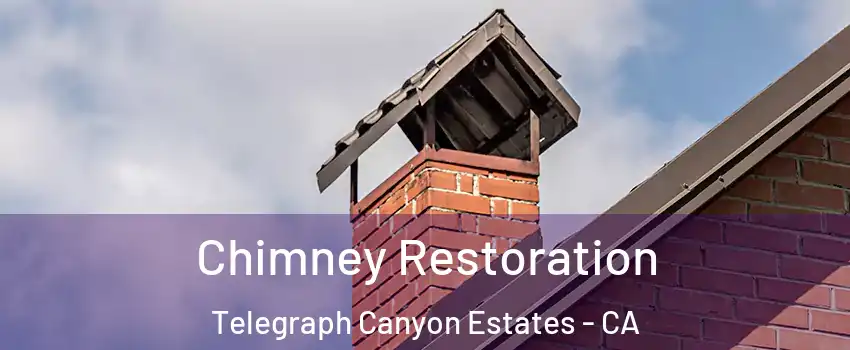 Chimney Restoration Telegraph Canyon Estates - CA