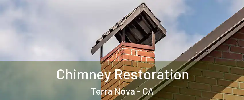 Chimney Restoration Terra Nova - CA