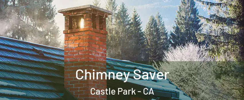 Chimney Saver Castle Park - CA