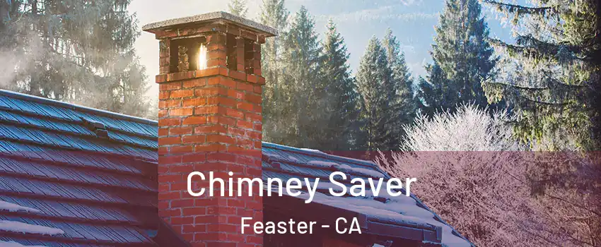 Chimney Saver Feaster - CA