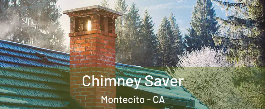 Chimney Saver Montecito - CA
