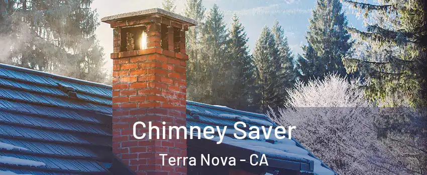 Chimney Saver Terra Nova - CA