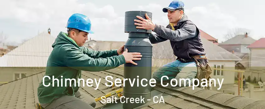 Chimney Service Company Salt Creek - CA