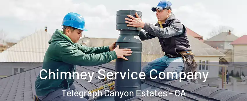Chimney Service Company Telegraph Canyon Estates - CA