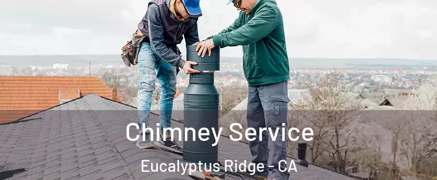 Chimney Service Eucalyptus Ridge - CA