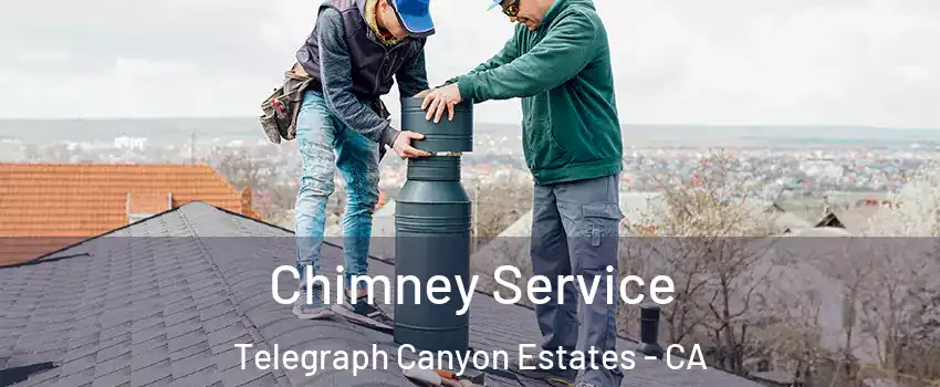 Chimney Service Telegraph Canyon Estates - CA