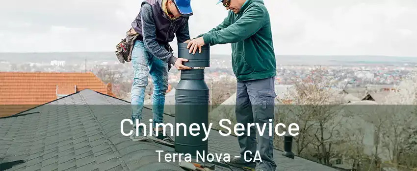 Chimney Service Terra Nova - CA